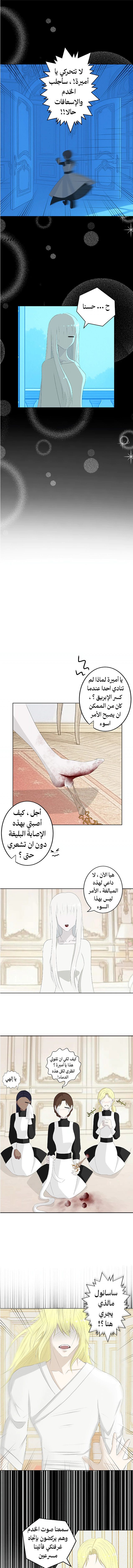 Read ما وراء الكتاب القديم AR Manga Online