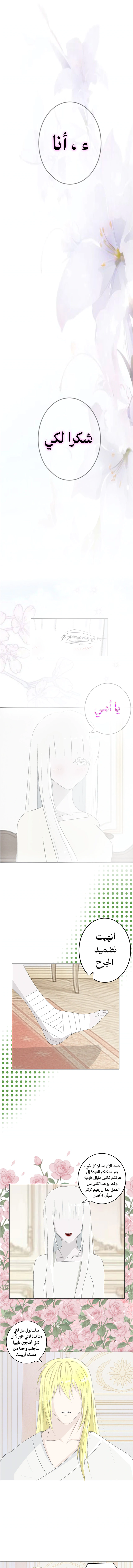 Read ما وراء الكتاب القديم AR Manga Online