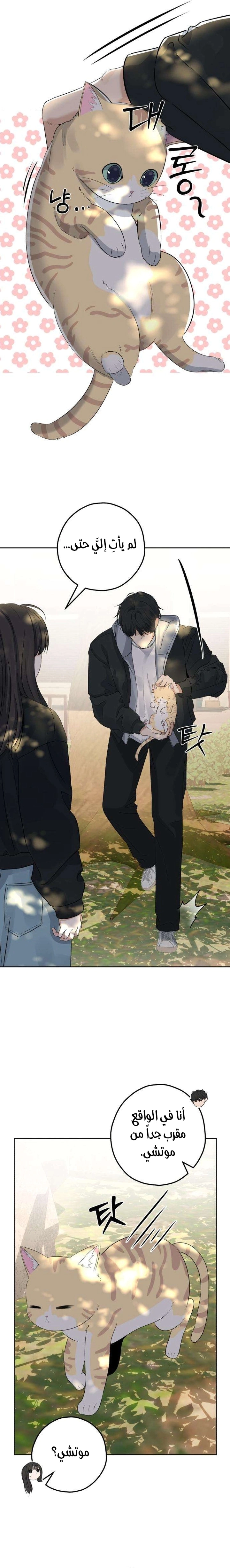 Read ‏My Killer Neighbor AR Manga Online