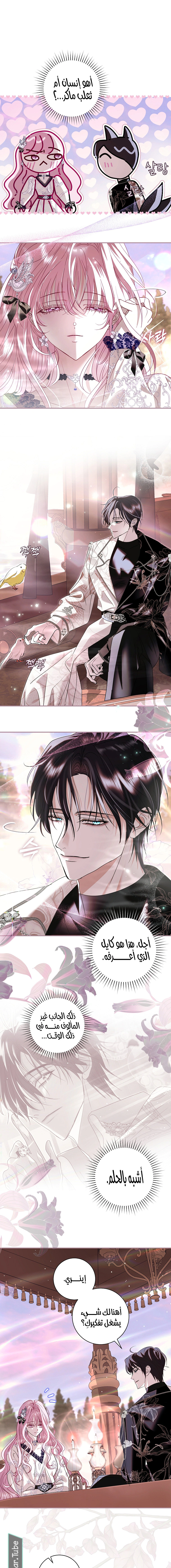 Read 25 AR Manga Online