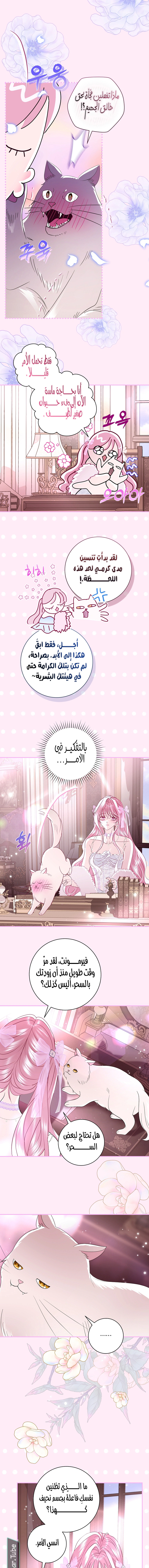 Read 25 AR Manga Online