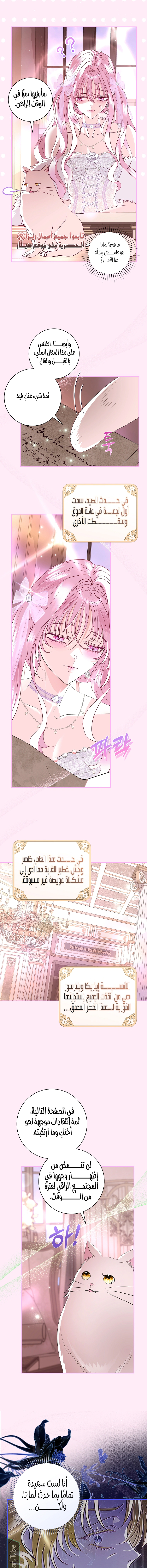 Read 25 AR Manga Online