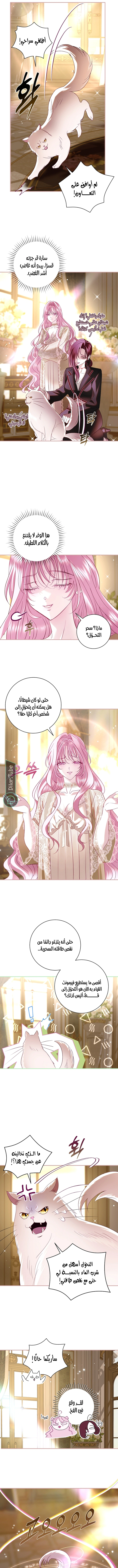 Read 25 AR Manga Online