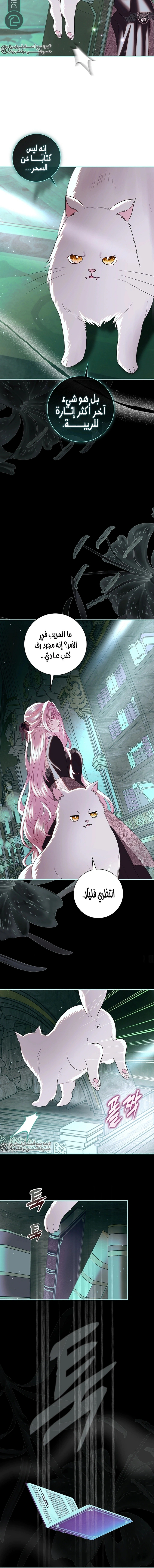 Read 25 AR Manga Online