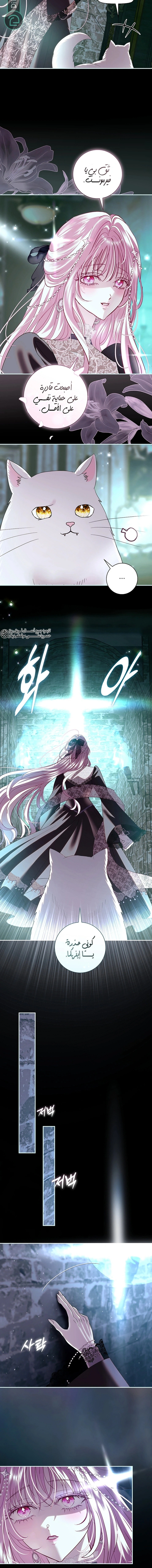 Read 25 AR Manga Online