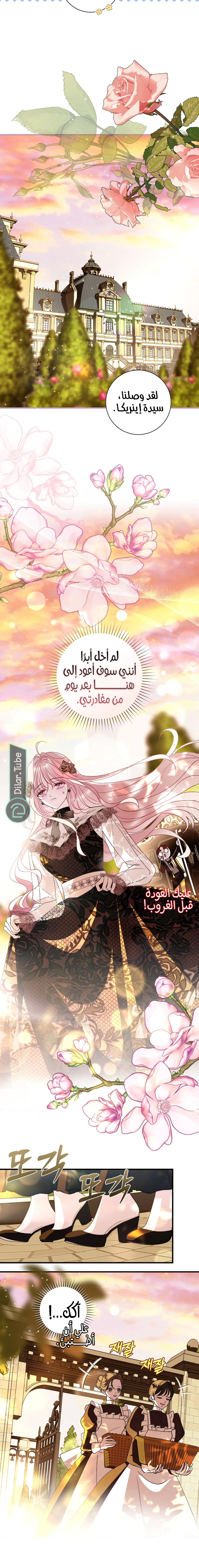 Read 25 AR Manga Online