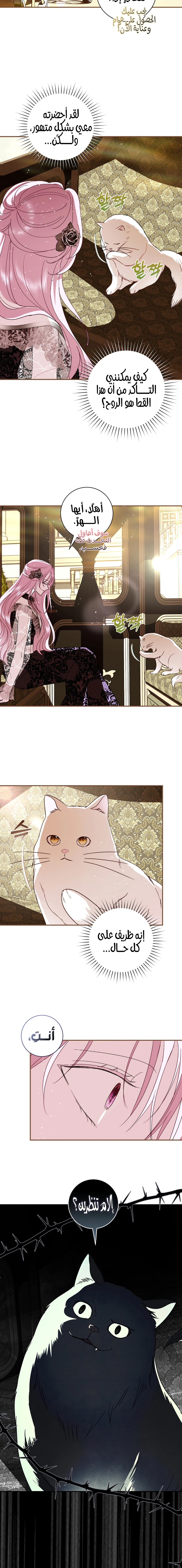 Read 25 AR Manga Online