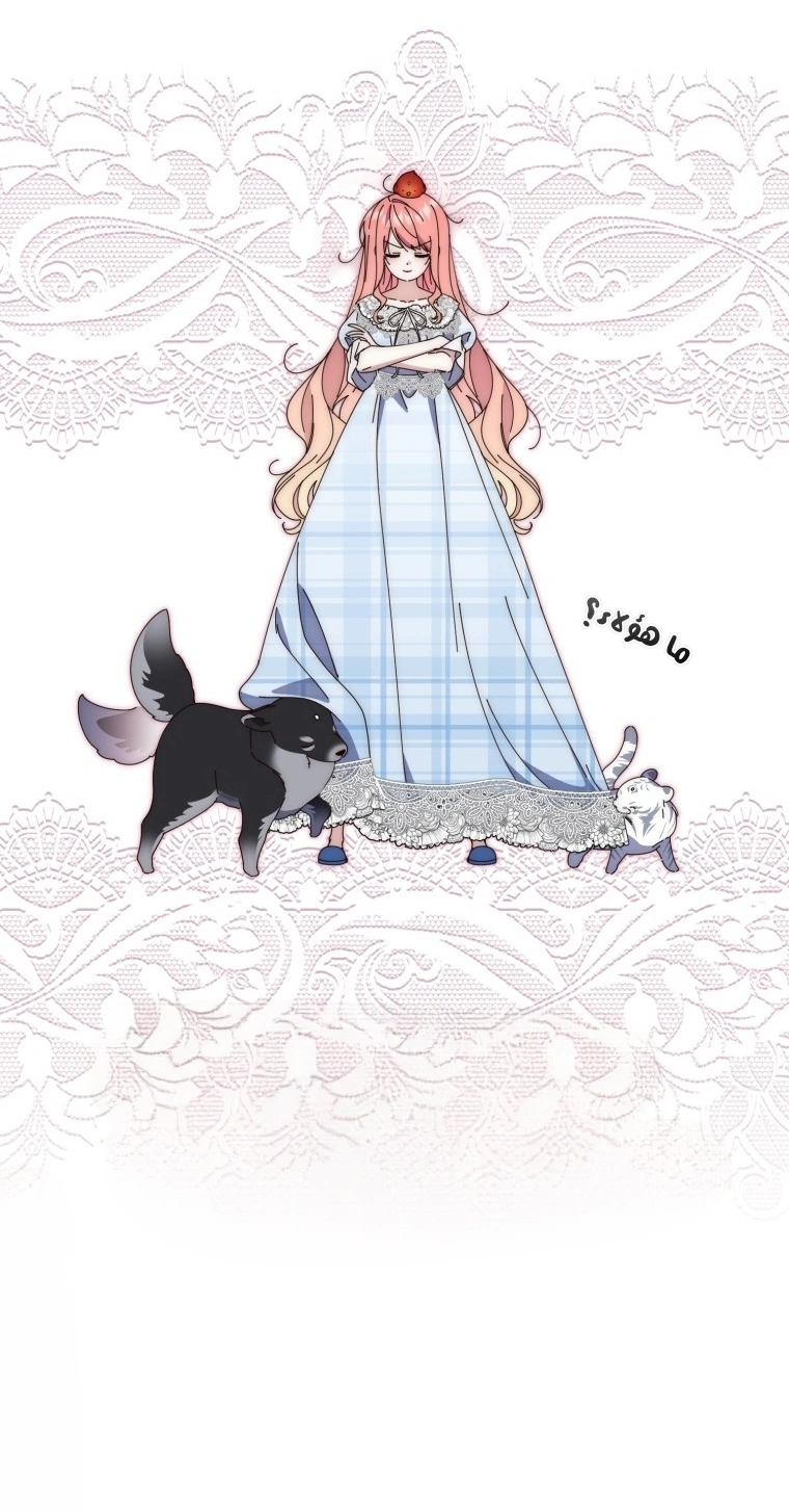 Read A Fortune-Telling Princess AR Manga Online