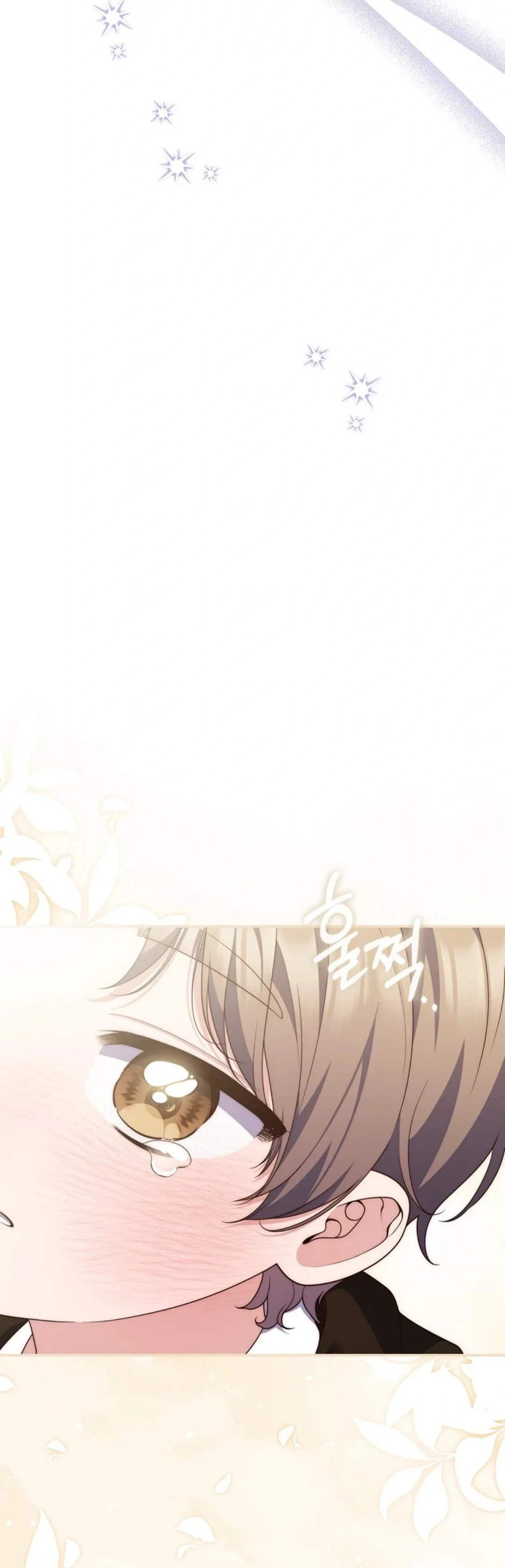 Read A Fortune-Telling Princess AR Manga Online