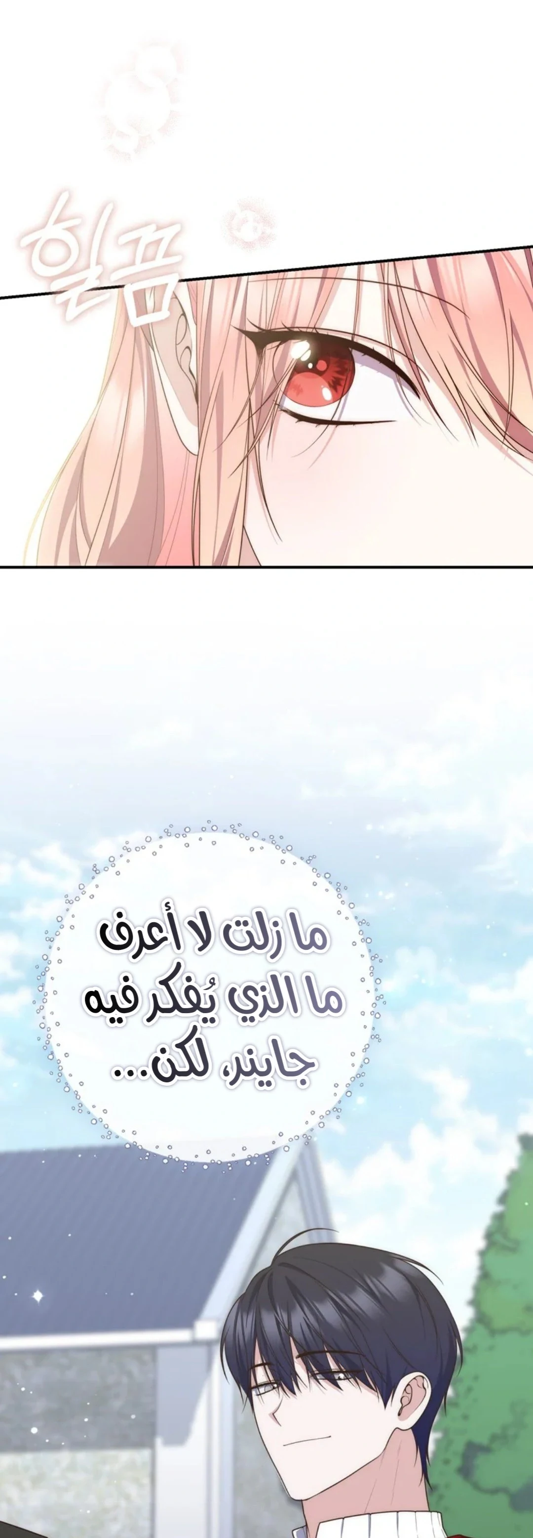 Read A Fortune-Telling Princess AR Manga Online