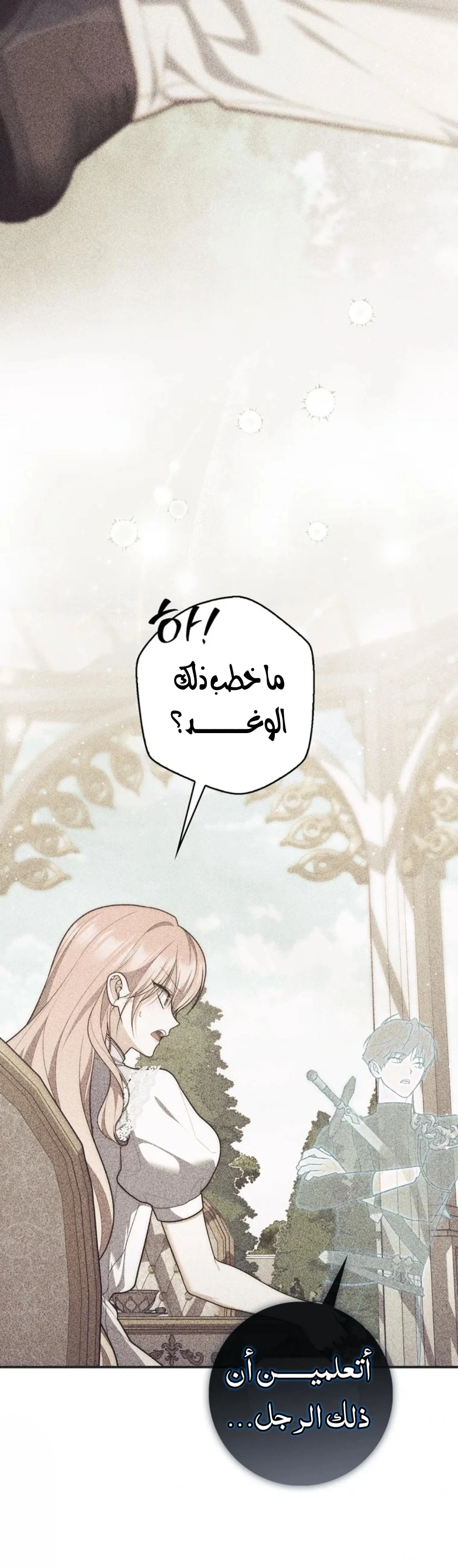 Read A Fortune-Telling Princess AR Manga Online