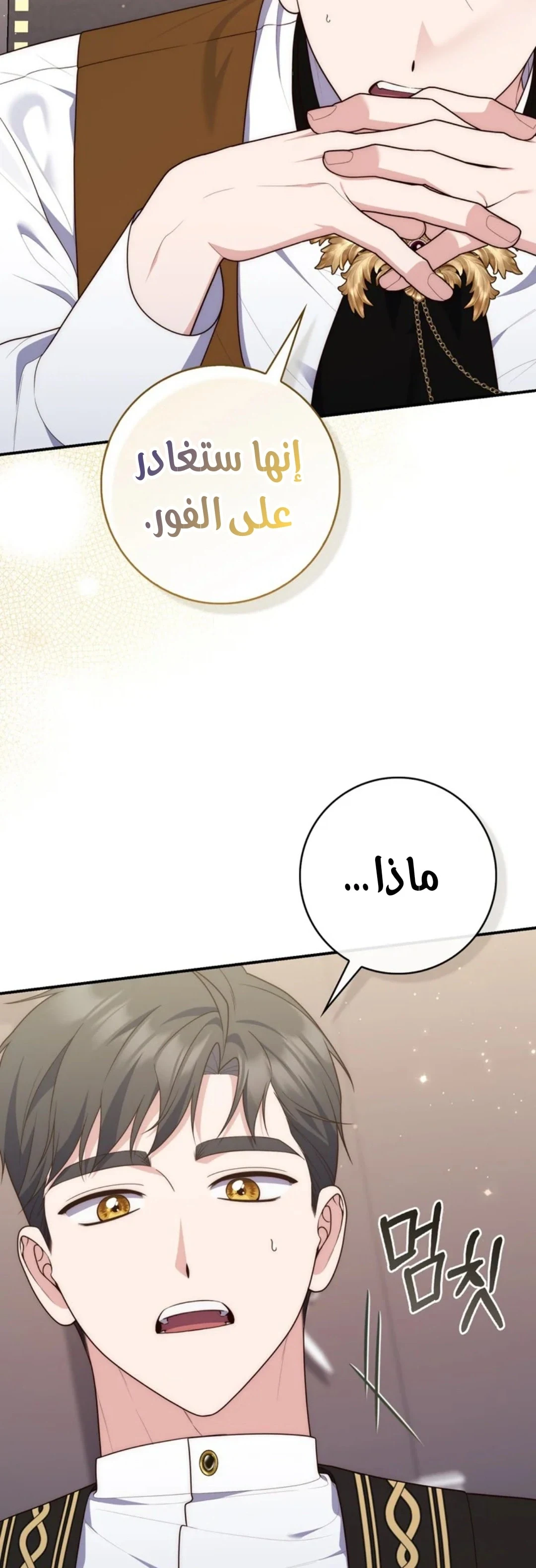 Read A Fortune-Telling Princess AR Manga Online