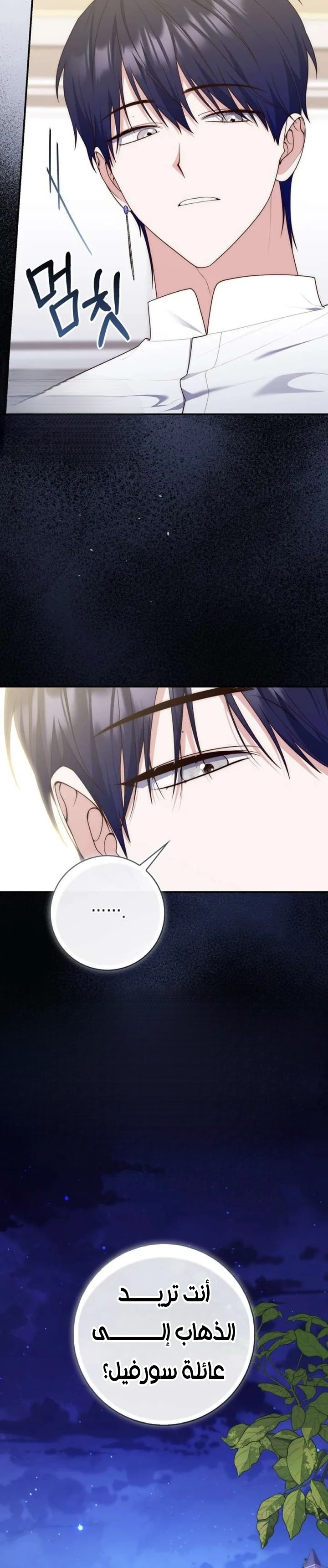 Read A Fortune-Telling Princess AR Manga Online