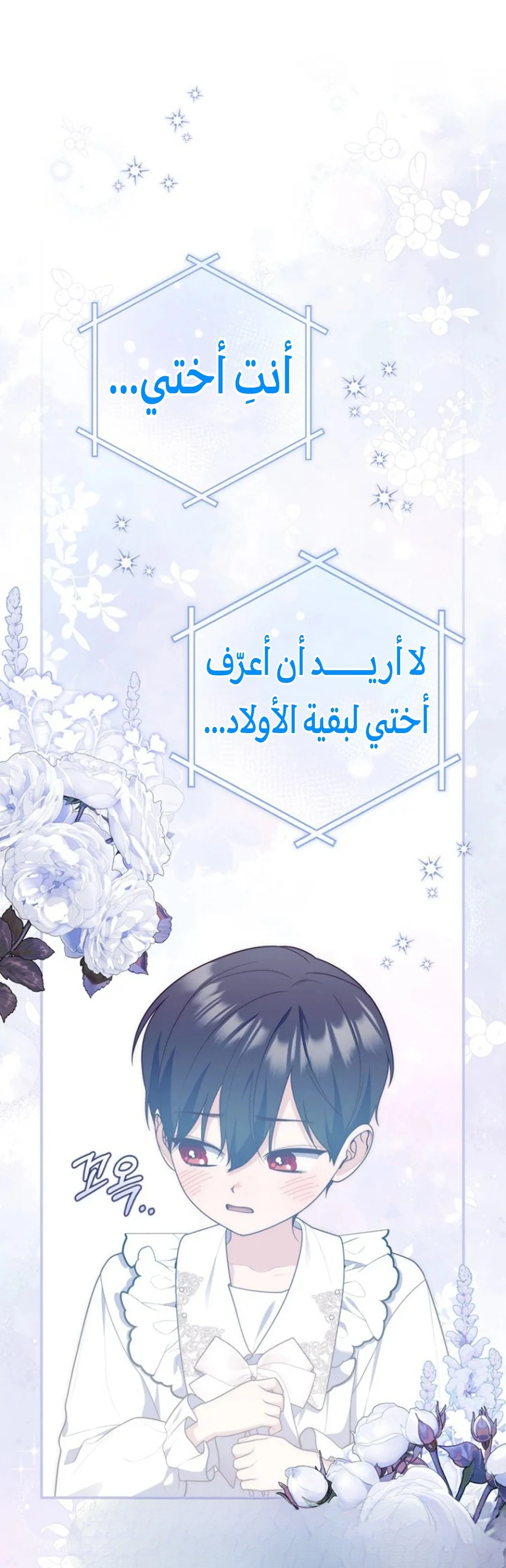 Read A Fortune-Telling Princess AR Manga Online