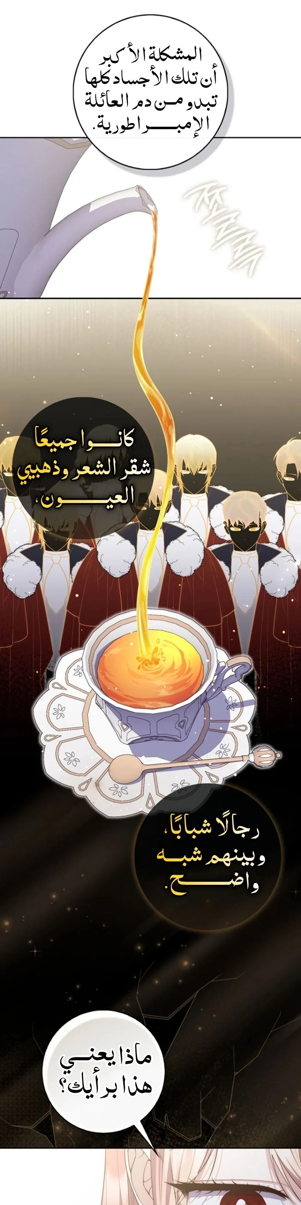 Read A Fortune-Telling Princess AR Manga Online