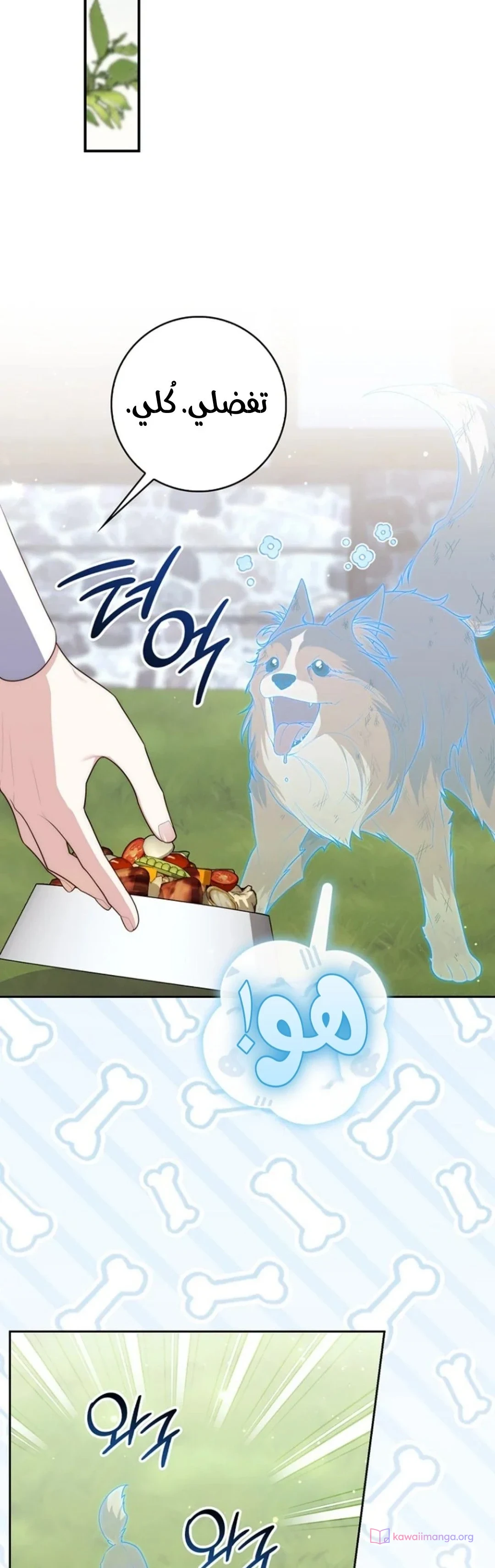 Read A Fortune-Telling Princess AR Manga Online