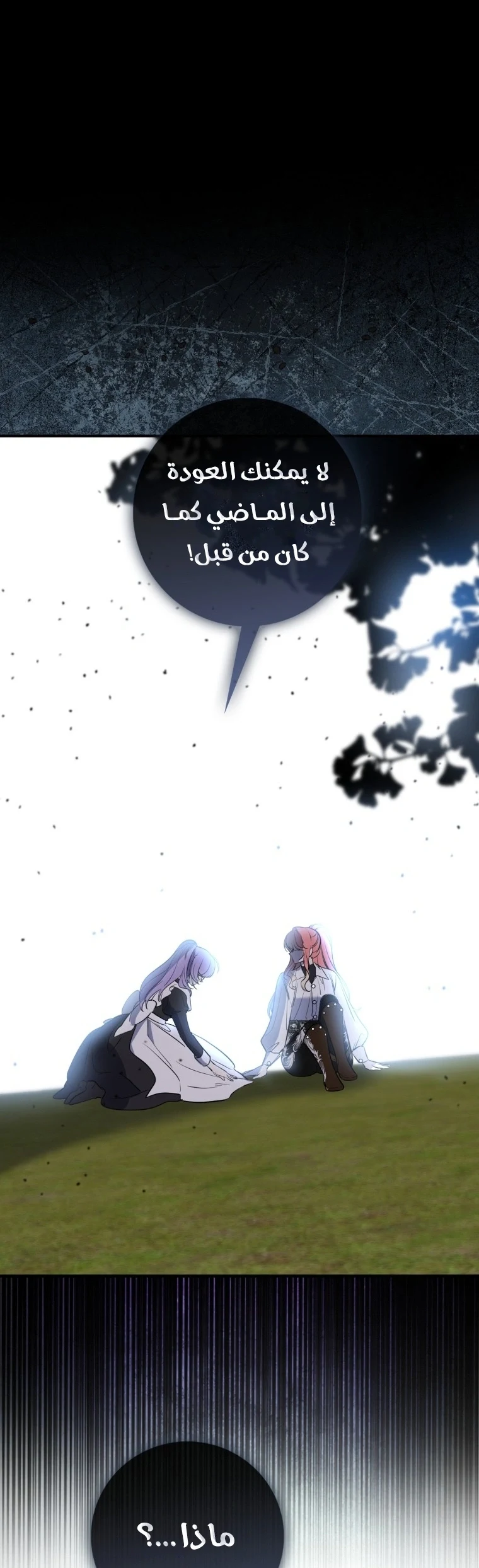 Read A Fortune-Telling Princess AR Manga Online