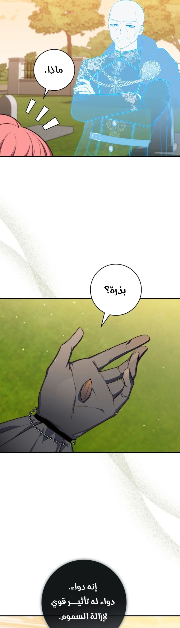Read A Fortune-Telling Princess AR Manga Online