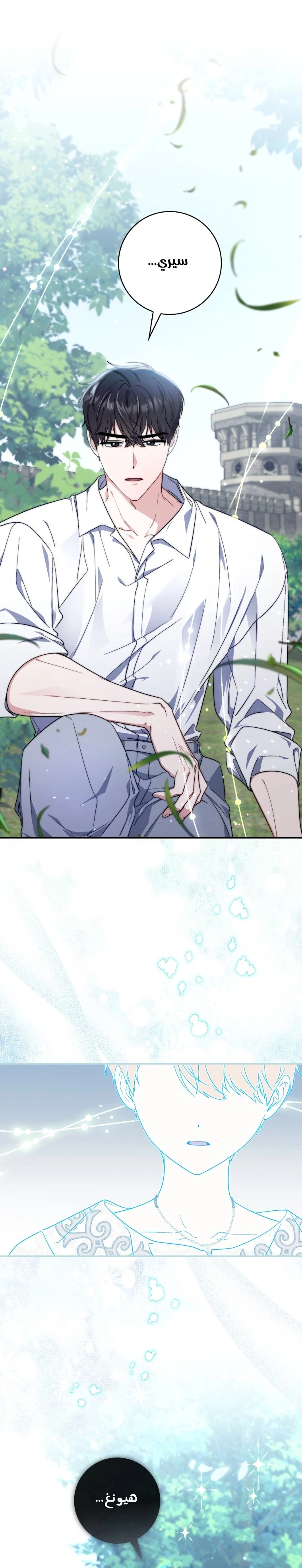 Read A Fortune-Telling Princess AR Manga Online