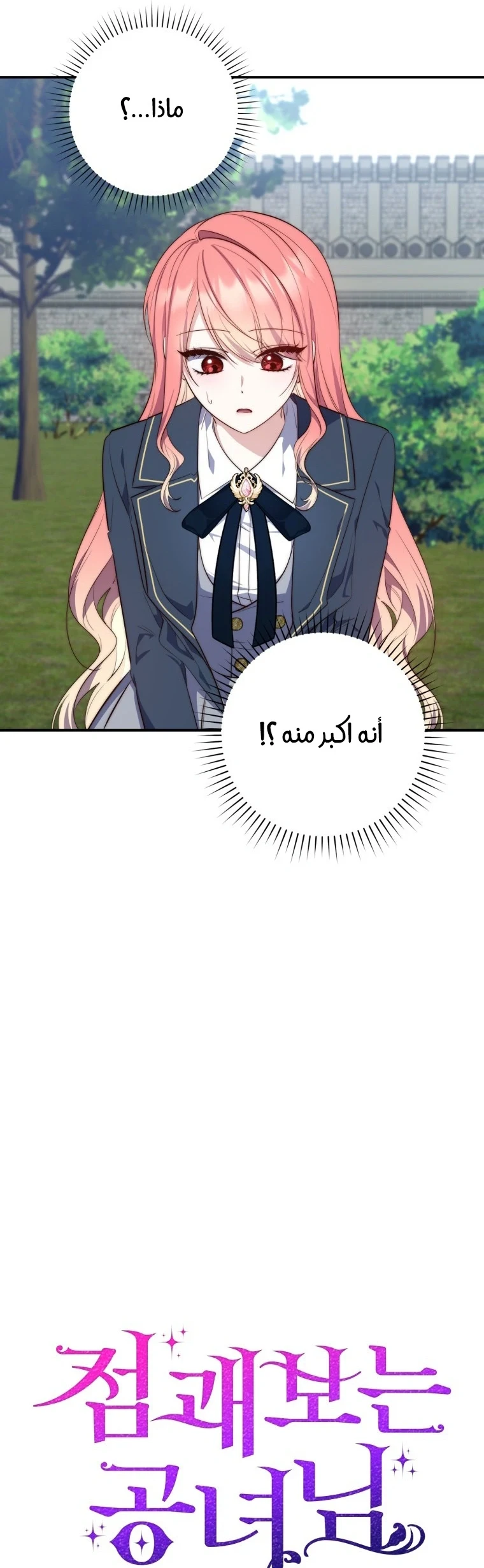 Read A Fortune-Telling Princess AR Manga Online