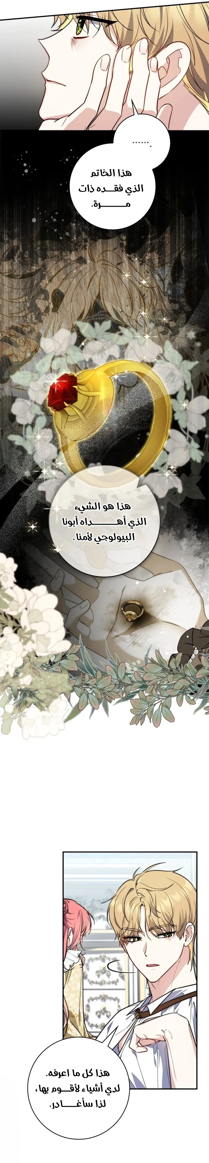 Read A Fortune-Telling Princess AR Manga Online