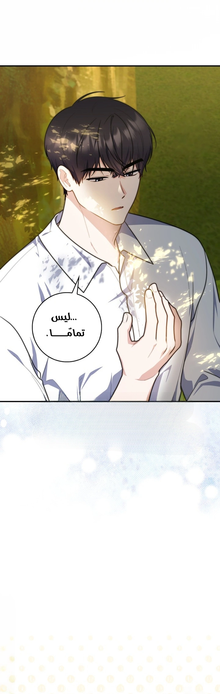 Read A Fortune-Telling Princess AR Manga Online