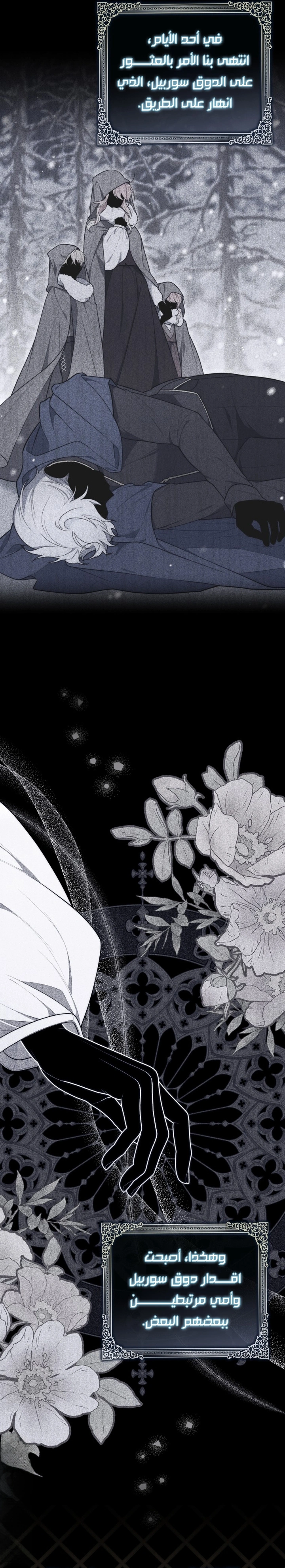 Read A Fortune-Telling Princess AR Manga Online