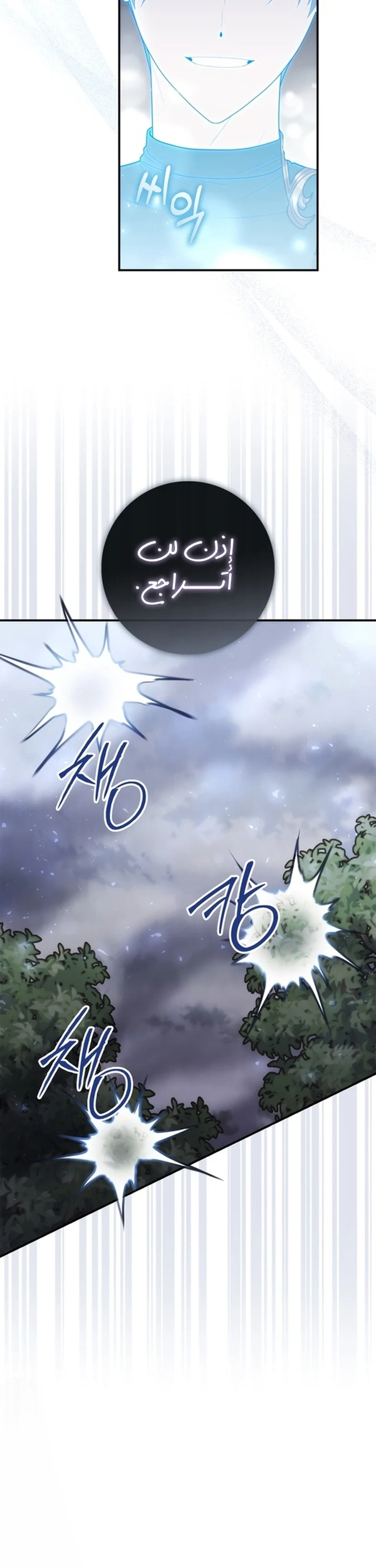 Read A Fortune-Telling Princess AR Manga Online