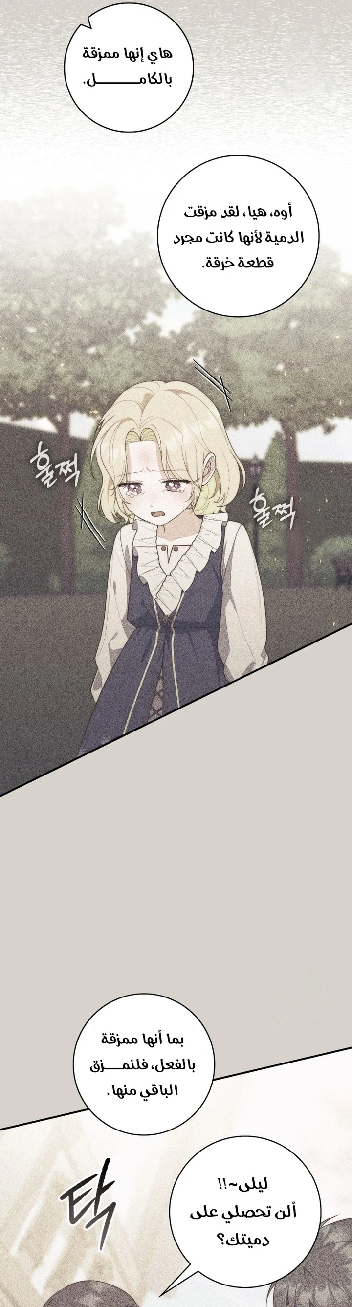 Read A Fortune-Telling Princess AR Manga Online