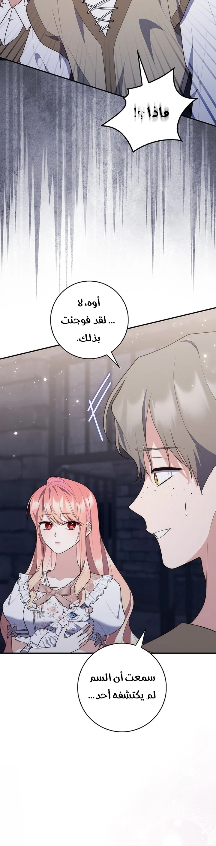 Read A Fortune-Telling Princess AR Manga Online