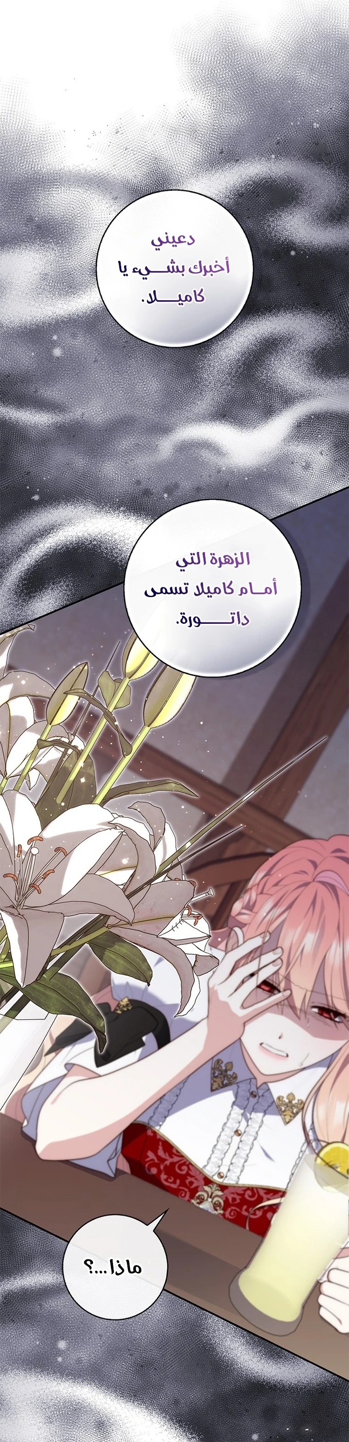 Read A Fortune-Telling Princess AR Manga Online