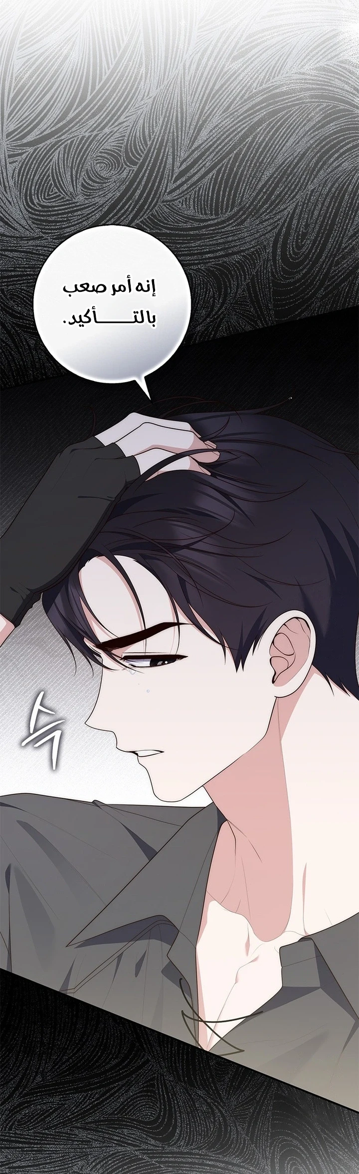 Read A Fortune-Telling Princess AR Manga Online