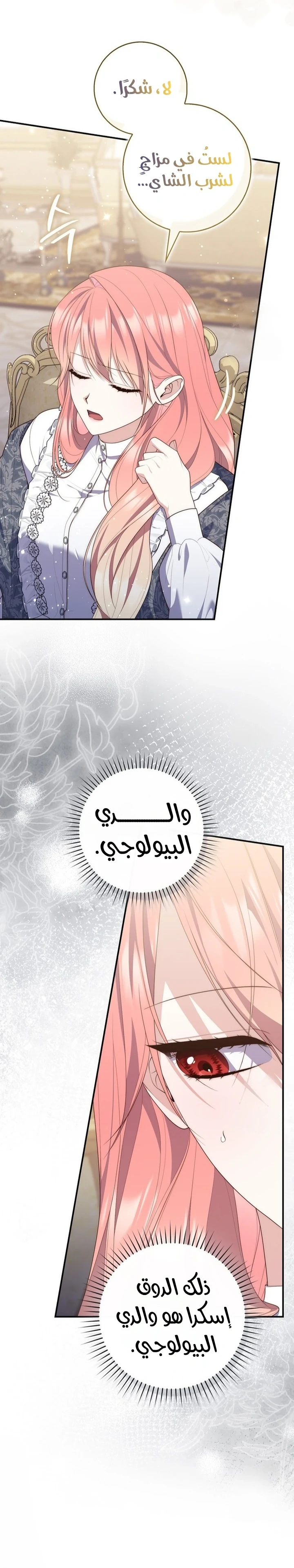 Read A Fortune-Telling Princess AR Manga Online