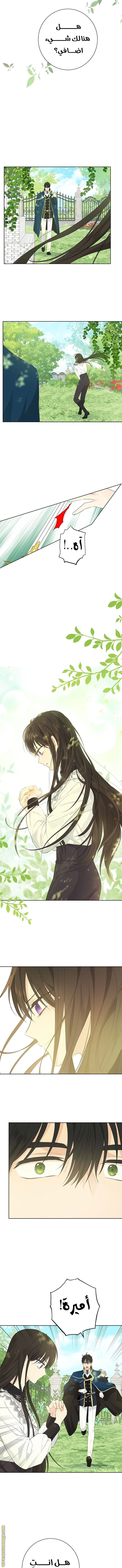 Read Actually, I was the Real One AR Manga Online