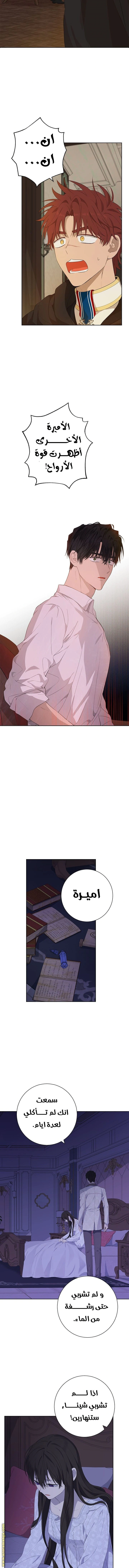 Read Actually, I was the Real One AR Manga Online