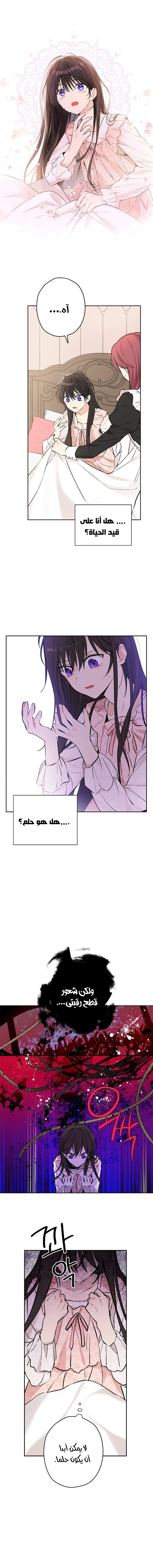 Read Actually, I was the Real One AR Manga Online