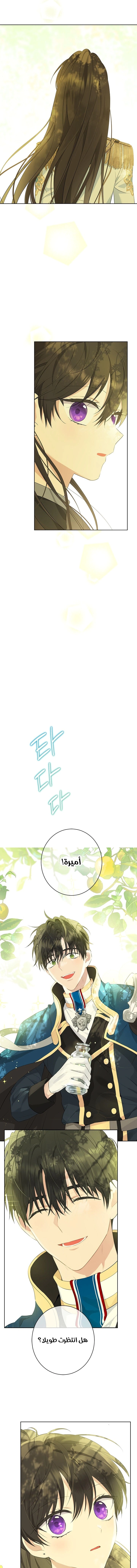 Read Actually, I was the Real One AR Manga Online