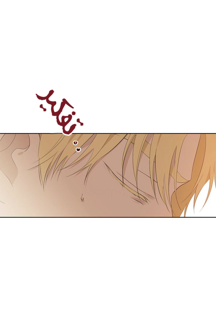 Read Actually, I was the Real One AR Manga Online