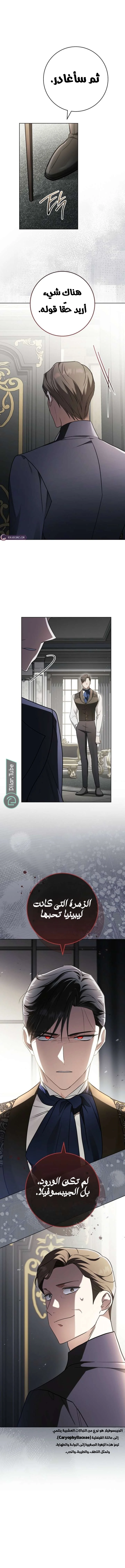 Read After I Died, My Boy Groom AR Manga Online