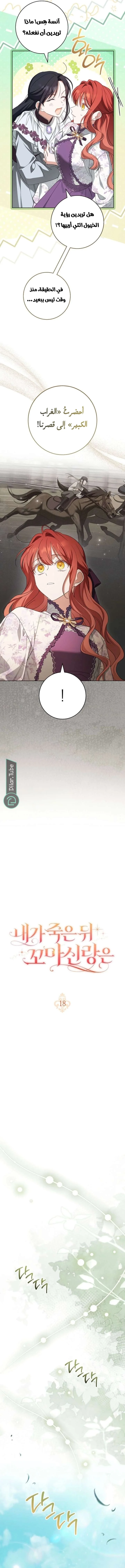 Read After I Died, My Boy Groom AR Manga Online