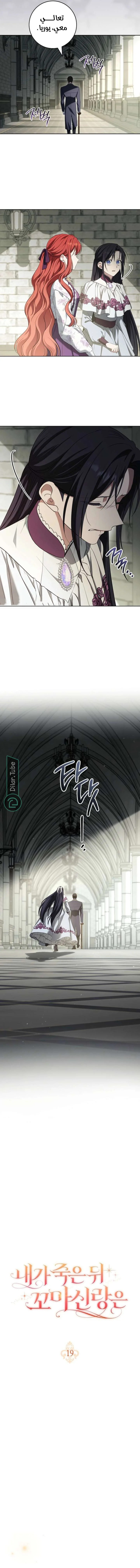 Read After I Died, My Boy Groom AR Manga Online