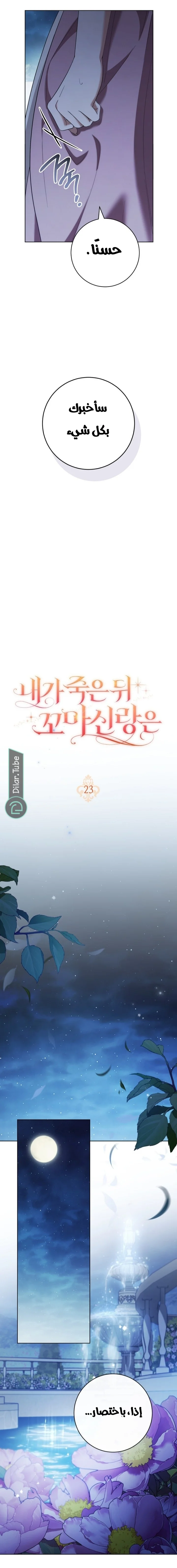Read After I Died, My Boy Groom AR Manga Online