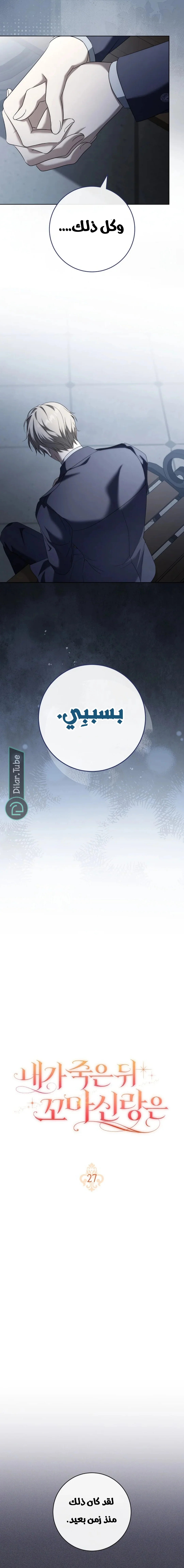 Read After I Died, My Boy Groom AR Manga Online