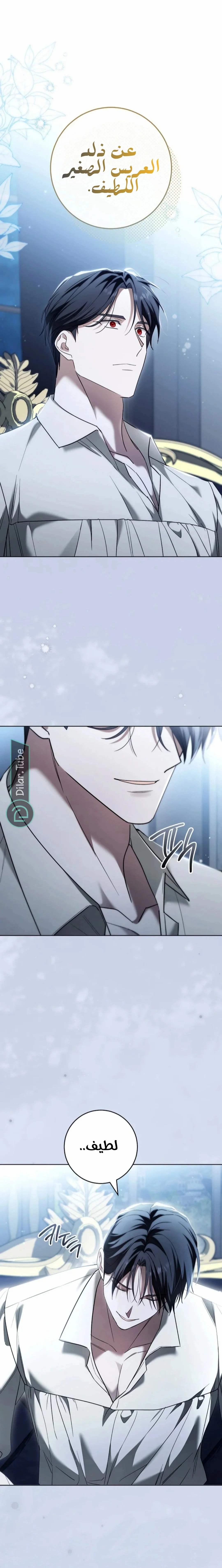 Read After I Died, My Boy Groom AR Manga Online