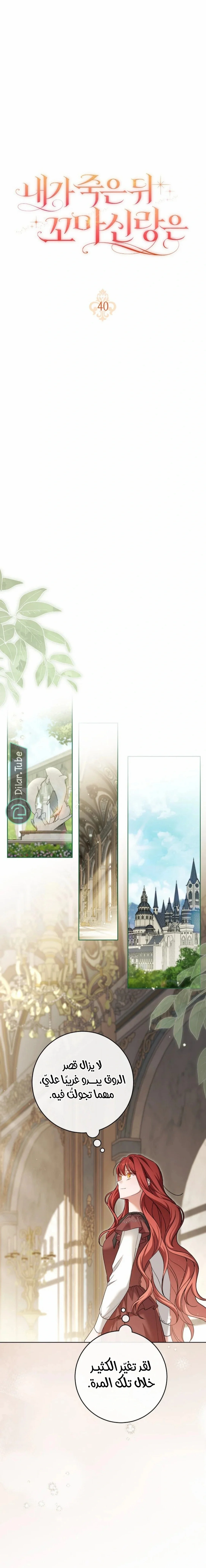 Read After I Died, My Boy Groom AR Manga Online