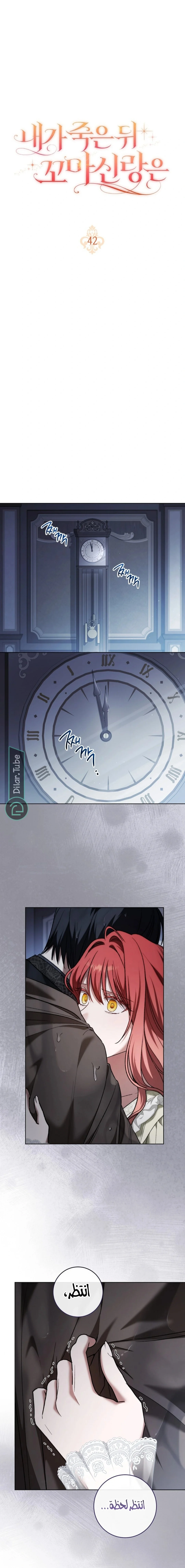Read After I Died, My Boy Groom AR Manga Online