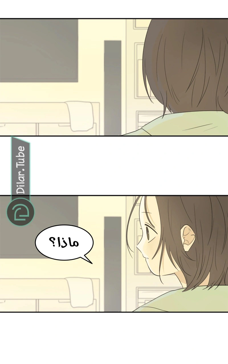 Read After School Recipe AR Manga Online