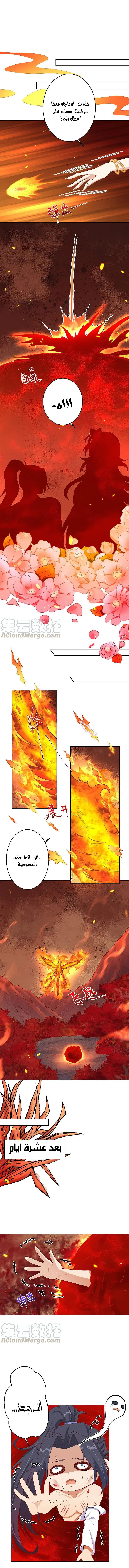 Read Against the Gods AR Manga Online
