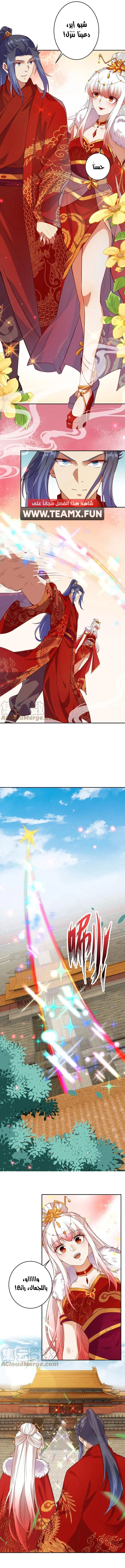 Read Against the Gods AR Manga Online