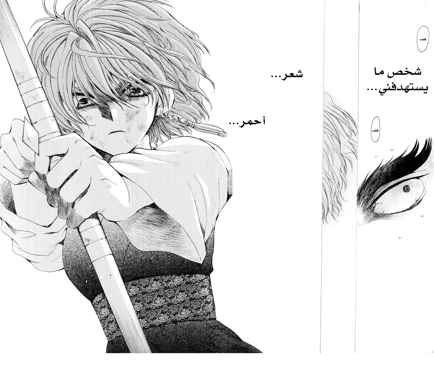 Read Akatsuki no Yona AR Manga Online